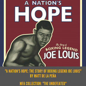 A nation's hope audiobook children's storybook 