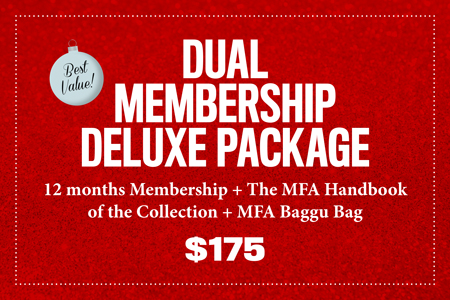 Deluxe Dual Membership Package | MFA St Pete 