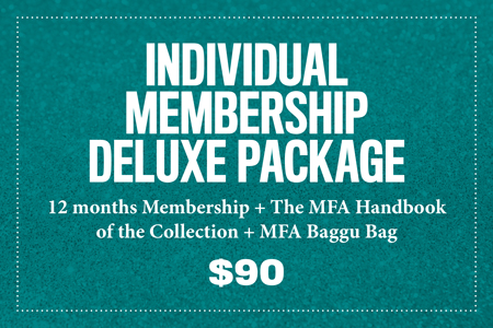 Deluxe Individual Membership Package | MFA St Pete 