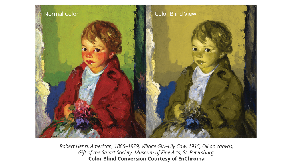 Color Blind Comparison at the Museum of Fine Arts, St. Petersburg