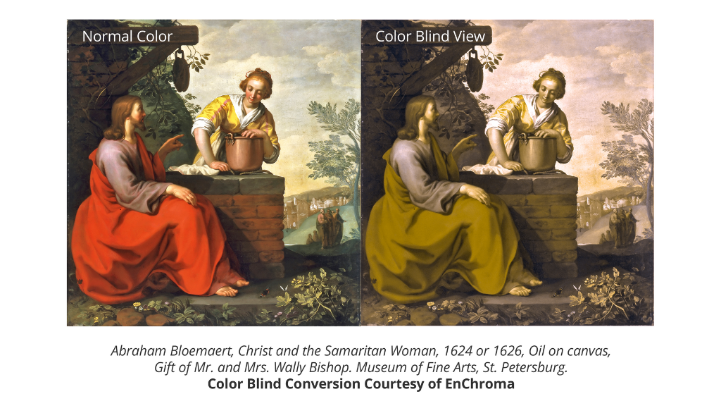 Color Blind Comparison at the Museum of Fine Arts, St. Petersburg 