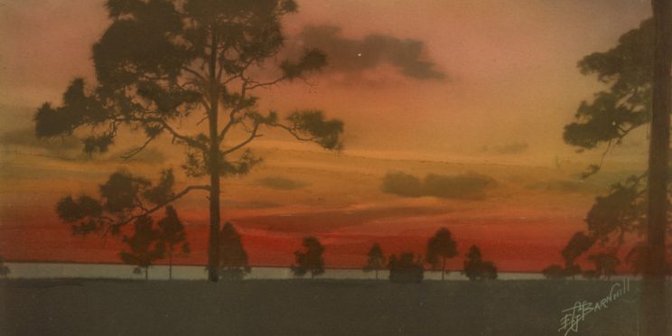 True to the Tint: The Quest for Color Photography