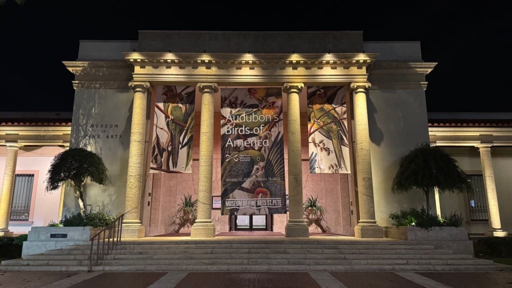 Art After Dark at the MFA