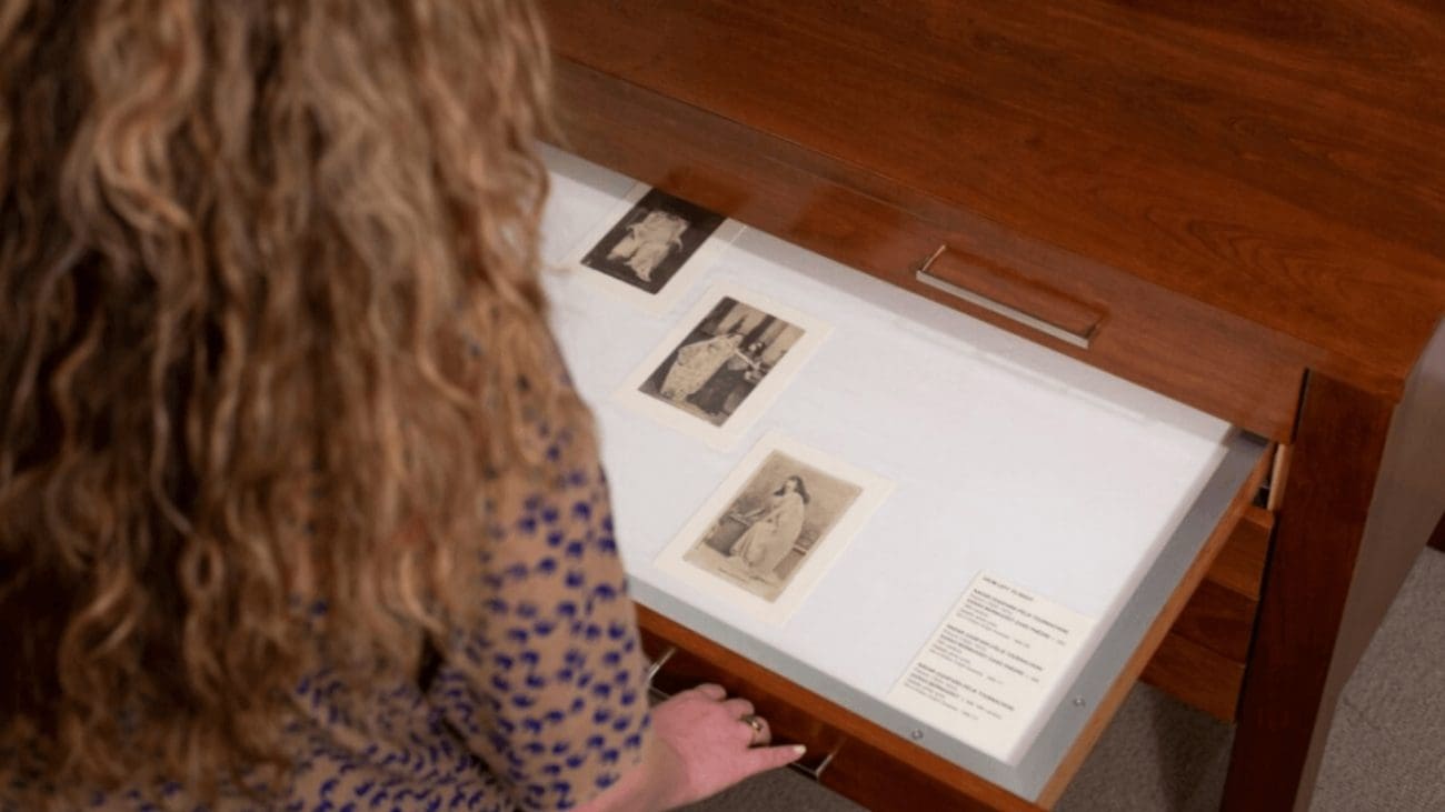 Explore the Vaults: Visions of France at the Museum of Fine Arts, St. Petersburg