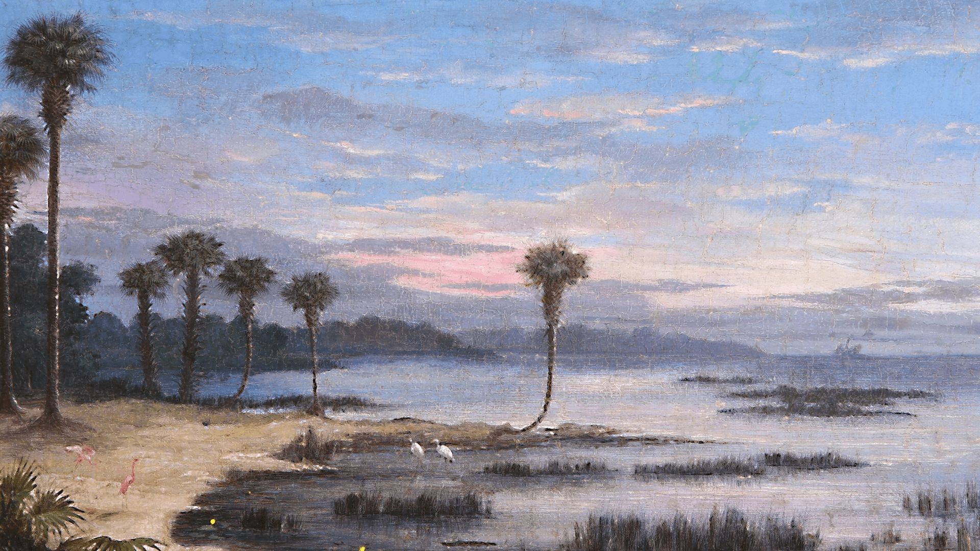 The Nature of Art at the Museum of Fine Arts, St. Petersburg